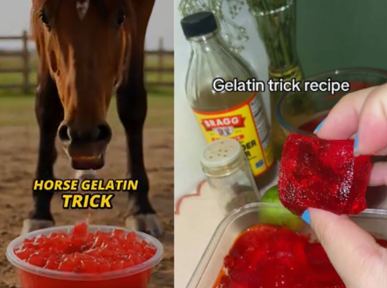 The horse gelatin trick for men's health